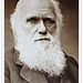 CHARLES DARWIN