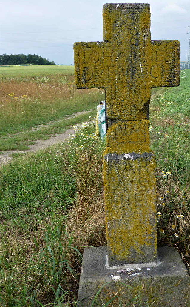 Auf dem Pyrmonter Felsensteig