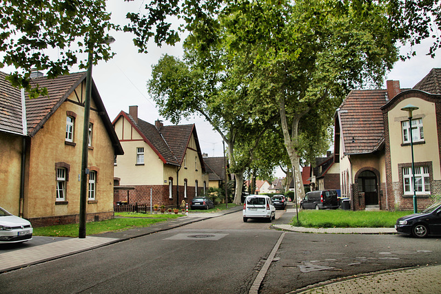 Prosperstraße (Siedlung Bergmannsplatz, Duisburg-Neumühl) / 6.09.2020