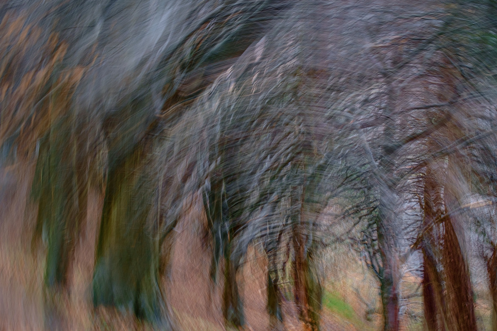 Intentional Camera Movement