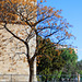 Valencia - Plaça dels Furs (© Buelipix)