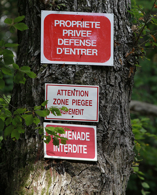 Bienvenue en forêt..... ;-)