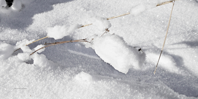 Schneekristalle