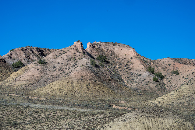 New Mexico landscape12