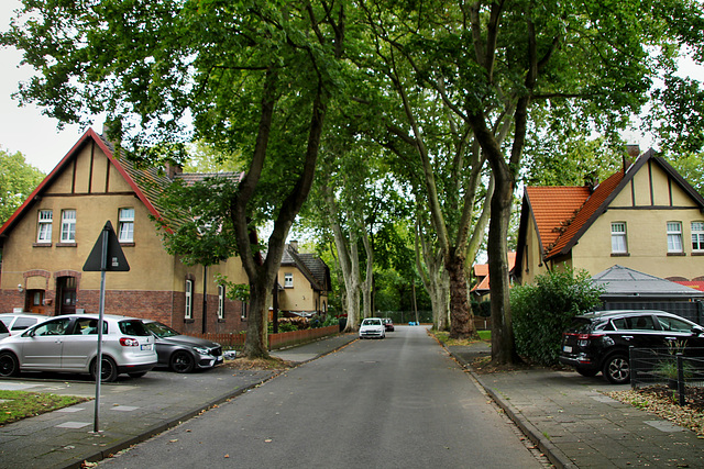 Dahlbuschstraße (Siedlung Bergmannsplatz, Duisburg-Neumühl) / 6.09.2020