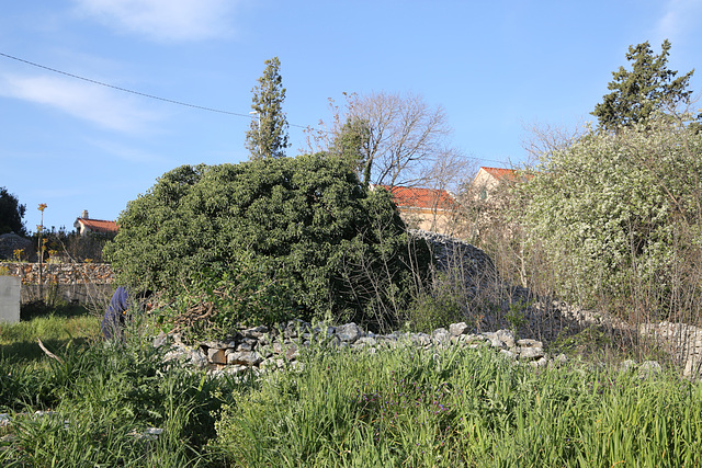 Komenco de laboro
