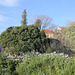 Komenco de laboro
