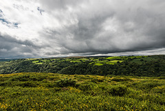 Dartmoor - 20150831