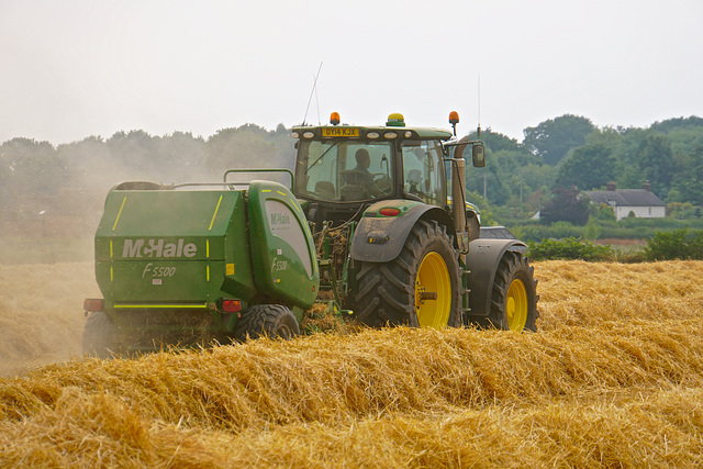 Harvest Time