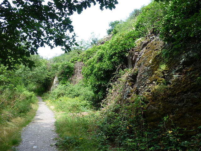 Auf dem Pyrmonter Felsensteig