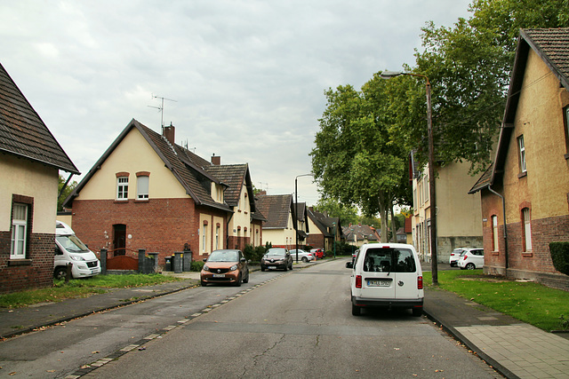 Hiberniastraße (Siedlung Bergmannsplatz, Duisburg-Neumühl) / 6.09.2020