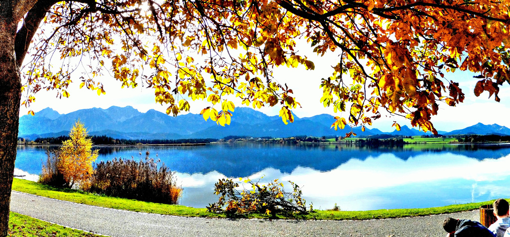 Herbst am Hopfensee. ©UdoSm