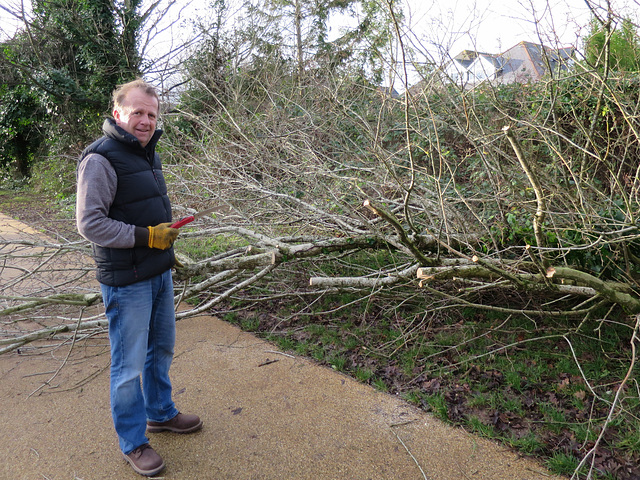 Tree surgery