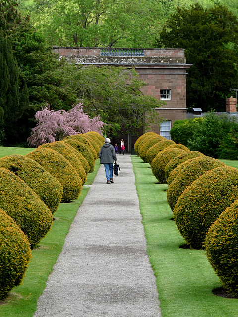 Berrington Hall Gardens