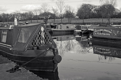 The Canal Reflects