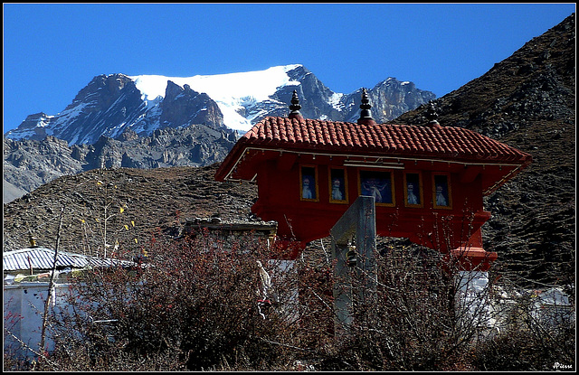 Gompah de Muktinath