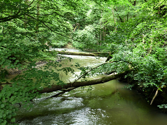 Auf dem Pyrmonter Felsensteig