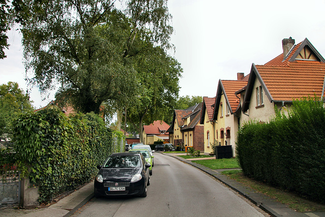 Hannibalstraße (Siedlung Bergmannsplatz, Duisburg-Neumühl) / 6.09.2020