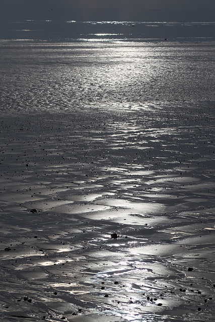 Littlehampton West Beach