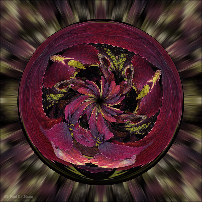 Spin Me Round ...