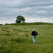 Across the Hill Fort to the Burrough Hill Trig Point (210m)