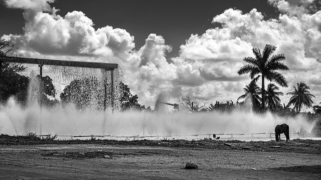 sugar mill "Abel Santamaria" - spray ponds