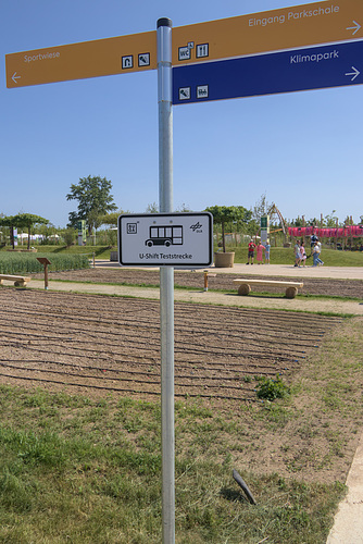 IMG 3507