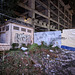 Don't throw trash / Défense de balancer vos déchets ici....