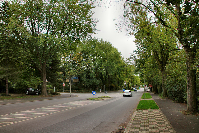 Fiskusstraße (Duisburg-Neumühl) / 6.09.2020