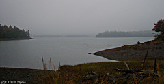 Misty Afternoon at Hersey Cove