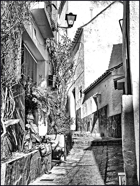 Casares