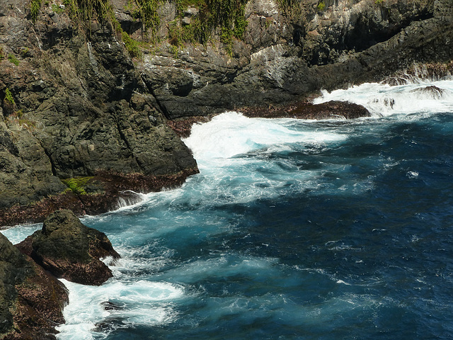 Cliffs, Little Tobago bird sanctuary, Day 3