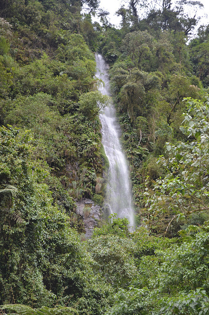 Bolivia, North Yungas Road (Death Road), Waterfall