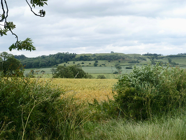 Looking towards Burrough Hill from Bakers lane