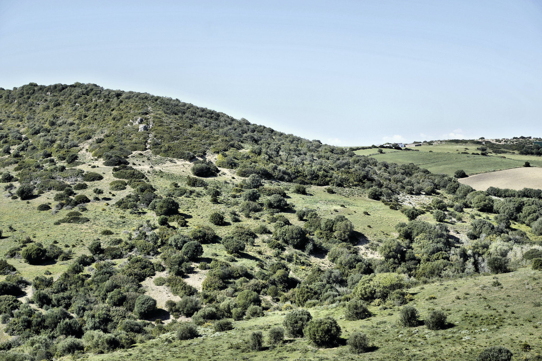 Rolling Hills – Viewed from Hotel Sindhura, Vejer de la Frontera, Cádiz Province, Andalucía, Spain