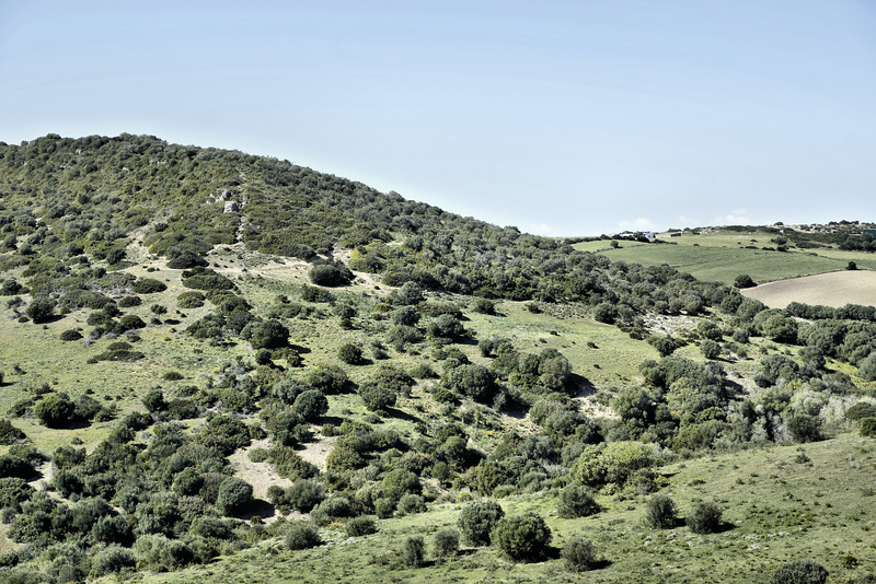 Rolling Hills – Viewed from Hotel Sindhura, Vejer de la Frontera, Cádiz Province, Andalucía, Spain
