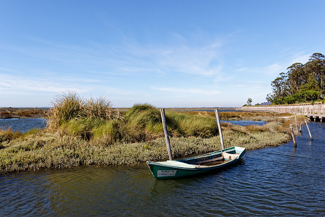 Ria de Aveiro, Portugal