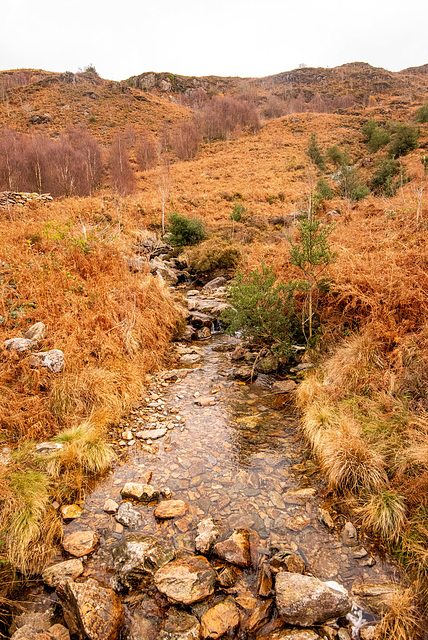 Llyn Dinas stream