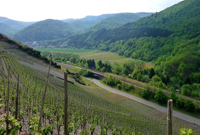 DE - Rech - Auf dem Rotweinwanderweg