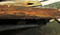 I saw a saw...a saw...a saw...a saw