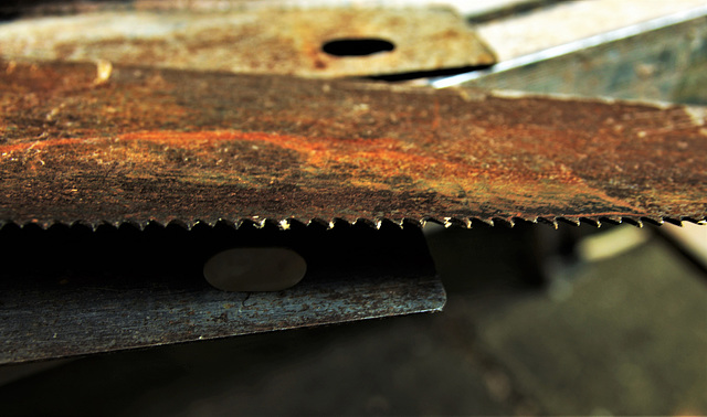 I saw a saw...a saw...a saw...a saw