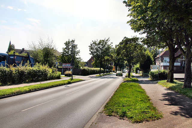 Lippramsdorfer Straße (Dorsten-Lembeck) / 20.07.2024