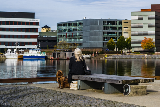 Solheimsviken Solheimsviken