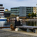Solheimsviken