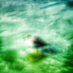 Expressionistische Ente