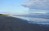 seagulls at Waratah Bay