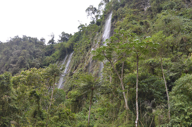 Bolivia, North Yungas Road (Death Road), Cascade of Waterfalls