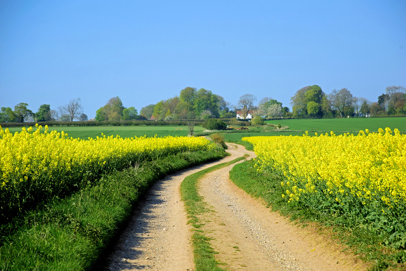 From the blue of the woods to the fields of gold!