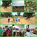 A-dos-Ruivos Community & Friends Lunch