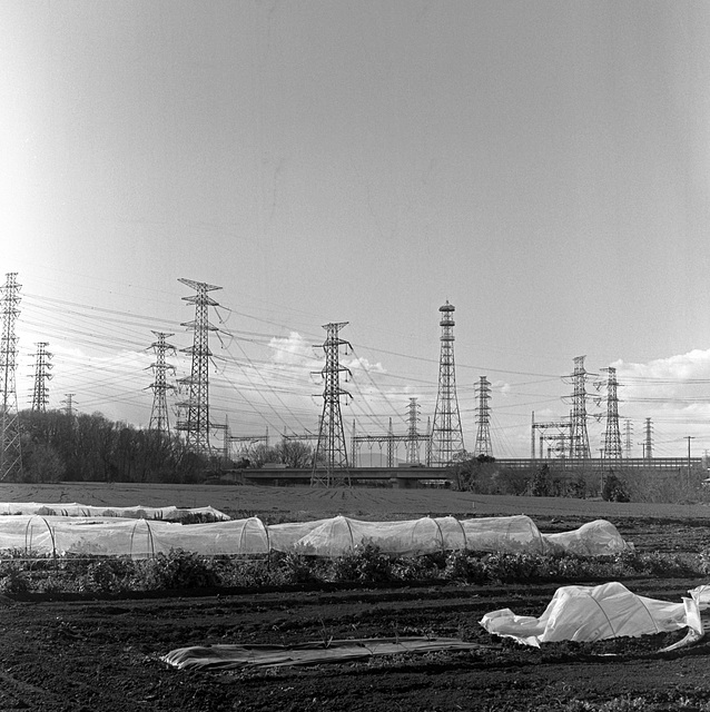 Electricity towers